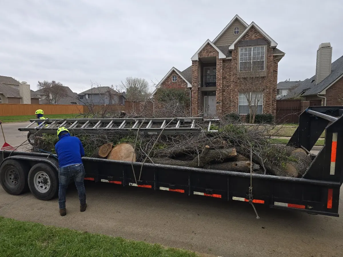 Expert Tree Pest Control with proper safety equipment in Great Valley